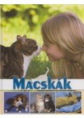 Horváthné Czentye Ibolya,Bagoly Ilona,Dönsz Judit - Macskák