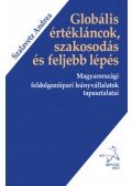 Szalavetz Andrea - Globális értékláncok, szakosodás és feljebb lépés - Magyarországi feldolgozóipari leányvállalatok tapasztalatai