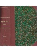 Kőnig Gyula - Mathematikai és természettudományi értesítő XXIV. kötet