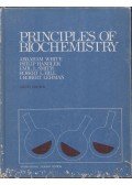 Abraham White,Philip Handler,Emil L. Smith,Robert L. Hill,I. Robert Lehman - Principles of Biochemistry