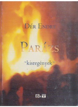 Dér Endre - Parázs Dér Endre - Parázs, Szeged 2003 antikvár könyv