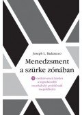 Joseph L. Badaracco - Menedzsment a szürke zónában - 5 örökérvényű kérdés a legnehezebb munkahelyi problémák megoldására
