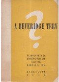 Mihelics Vid - A Beveridge-terv