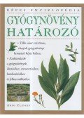 Andi Clevely - Gyógynövény-határozó