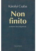 Károlyi Csaba - Non finito
