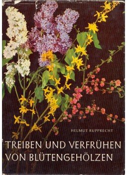 Helmut Rupprecht - Treiben und Verfrühen von Blutengehölzen Helmut Rupprecht - Treiben und Verfrühen von Blutengehölzen, Radebeul 1965 antikvár könyv