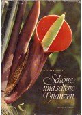 Walter Richter - Schöne und seltene Pflanzen