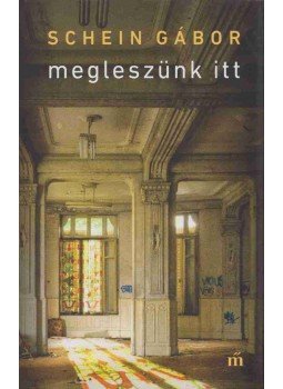 Schein Gábor - Megleszünk itt Schein Gábor - Megleszünk itt, Budapest 2019 antikvár könyv