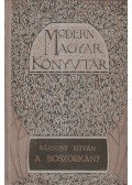 Bársony István - A boszorkány és más elbeszélések