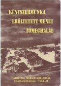 Balla Zsófia - Kényszermunka, erőltetett menet, tömeghalál