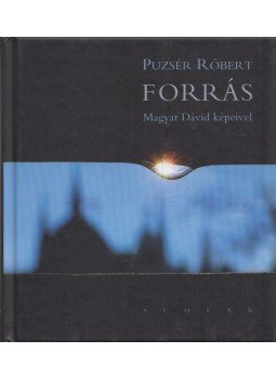 Puzsér Róbert - Forrás, Budapest 2008 antikvár könyv