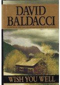 Baldacci, David - Wish You Well