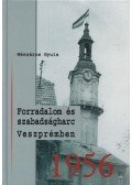 Mészáros Gyula - Forradalom és szabadságharc Veszprémben 1956