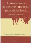 Mészáros Aranka - A munkahely szociálpszichológiai jelenségvilága I.
