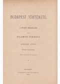 Salamon Ferencz - Budapest története III.