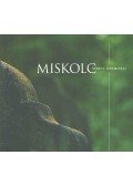 Dobrossy István,Kiss Tanne István - Miskolc védett síremlékei