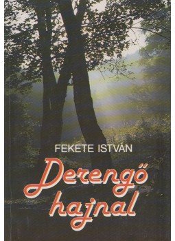 Fekete István - Derengő hajnal Fekete István - Derengő hajnal, Budapest 0 antikvár könyv