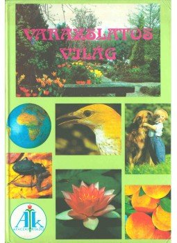 Dr. Mester Miklósné - Varázslatos világ Dr. Mester Miklósné - Varázslatos világ, Celldömölk 1994 antikvár könyv