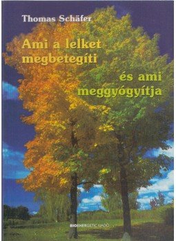 Thomas Schafer - Ami a lelket megbetegíti és ami meggyógyítja, Budapest 2016 antikvár könyv