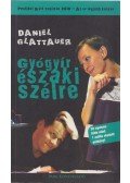 Daniel Glattauer - Gyógyír északi szélre