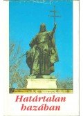 Dávid Gyula,Veress Zoltán - Határtalan hazában