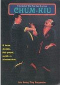 LEUNG Ting,Cheng Chuen - Chum-Kiu a Wing Tsun rendszerben