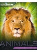Miranda Smith - Animals