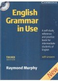 Raymond Murphy - English Grammar in Use