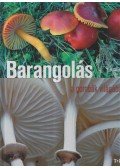 Farkas Sándor,Kecskés Szilvia - Barangolás a gombák világában