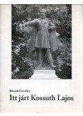 Reznák Erzsébet - Itt járt Kossuth Lajos