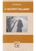 Vilcsek Béla - A telített pillanat