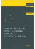 Prugberger Tamás - Európai és magyar összehasonlító munka- és közszolgálati jog