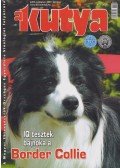 Harcsás Márta - A kutya 2007. október