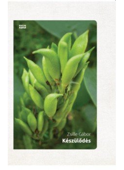 Zsille Gábor - Készülődés Zsille Gábor - Készülődés, null 2019 antikvár könyv