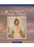 Daniel, Alma,Wyllie, Timothy,Ramer, Andrew - Az angyalok tudják a választ