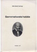 Silló-Seidl György - Semmelweis halála