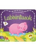 Barbara Wierzchowska - Labirintusok -Óvodások akadémiája