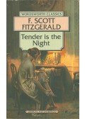 F. Scott Fitzgerald - Tender is the Night