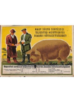  - Nagy súlyu sertéssel teljesítsd hizottsertés beadási kötelezettségedet! propaganda kisplakát,  0 antikvár könyv