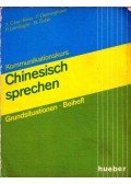 Xianghong Chen-Klein,Friedhelm Denninghaus,Peter Leimbigler,Barbara Subik - Kommunikationskurs Chinesisch sprechen