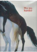 Ingebright Steen Jense - We Try Harder