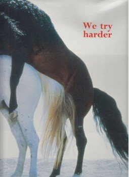Ingebright Steen Jense - We Try Harder Ingebright Steen Jense - We Try Harder, 1997 antikvár könyv