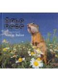 Vincze Bálint - ürge mese