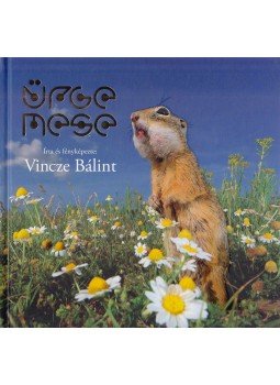 Vincze Bálint - ürge mese Vincze Bálint - ürge mese, Paks 2014 antikvár könyv