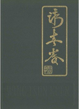 Ting, Leung - Wing Tsun Kuen Ting, Leung - Wing Tsun Kuen, 2002 antikvár könyv