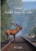 Rácz Gábor - Sokszor - Tizenkét hónap az erdőn