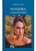 Németh Judit - Pandóra a szelencében