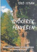 Törő István - Gyökerek fényében
