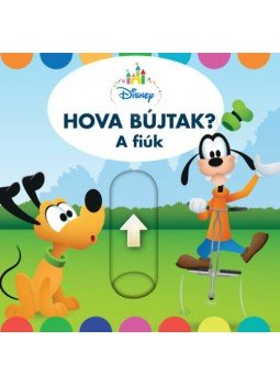 - Hova bújtak? - A fiúk - Hova bújtak? - A fiúk, null 2019 antikvár könyv
