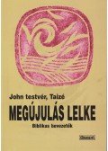 John testvér, Taizé - Megújulás lelke